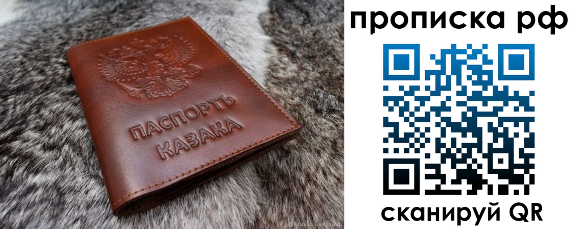 временная регистрация гарантия в Завитинске